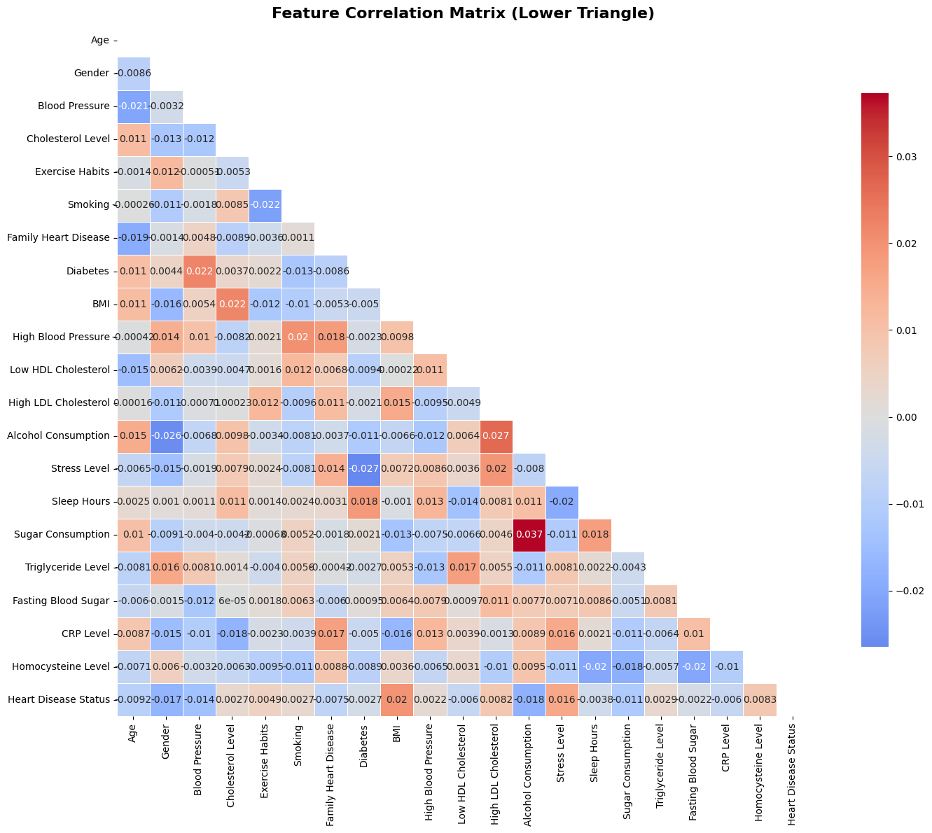 Feature Correlation Matrix